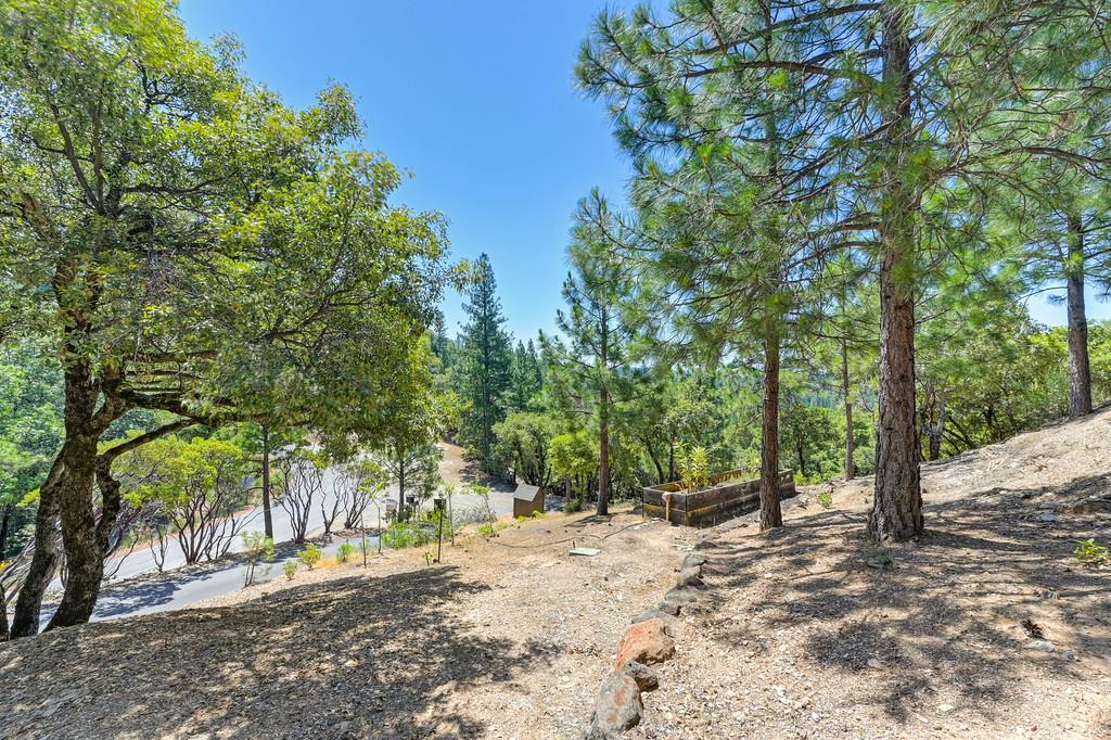 Detail Gallery Image 19 of 98 For 310 Cape Horn Rd, Colfax,  CA 95713 - 4 Beds | 3 Baths