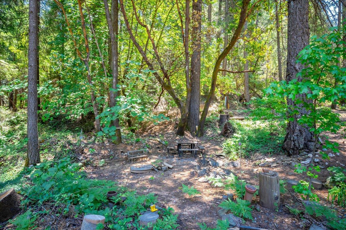 Detail Gallery Image 65 of 93 For 3065 Oregon Trail Rd, Georgetown,  CA 95634 - 3 Beds | 2 Baths