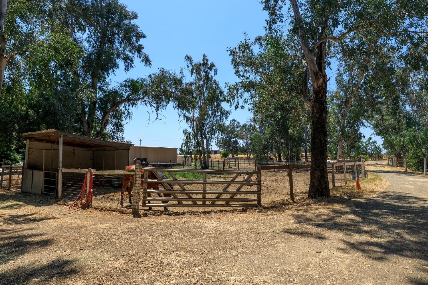 Detail Gallery Image 59 of 73 For 11931 Giusti Rd, Herald,  CA 95638 - 4 Beds | 3 Baths
