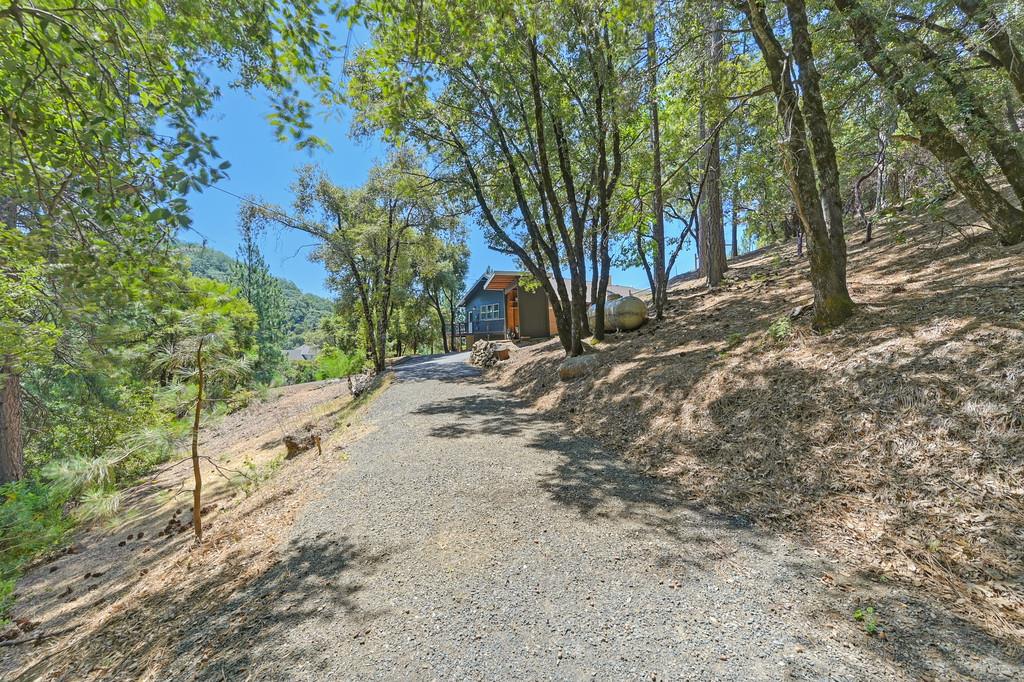 Detail Gallery Image 24 of 98 For 310 Cape Horn Rd, Colfax,  CA 95713 - 4 Beds | 3 Baths