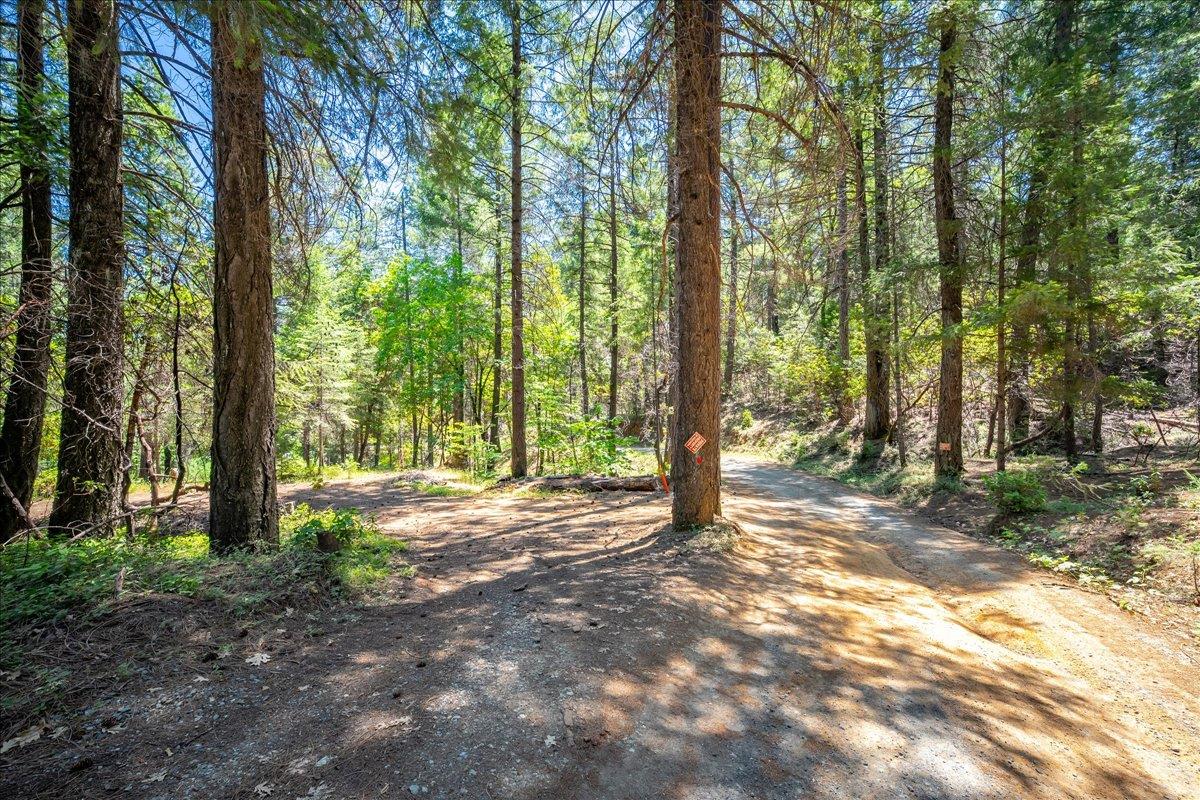 Detail Gallery Image 77 of 93 For 3065 Oregon Trail Rd, Georgetown,  CA 95634 - 3 Beds | 2 Baths