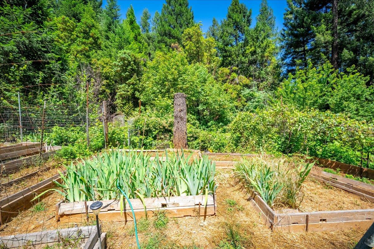Detail Gallery Image 48 of 93 For 3065 Oregon Trail Rd, Georgetown,  CA 95634 - 3 Beds | 2 Baths