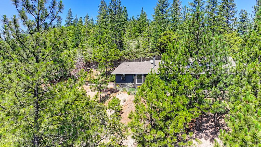Detail Gallery Image 6 of 98 For 310 Cape Horn Rd, Colfax,  CA 95713 - 4 Beds | 3 Baths