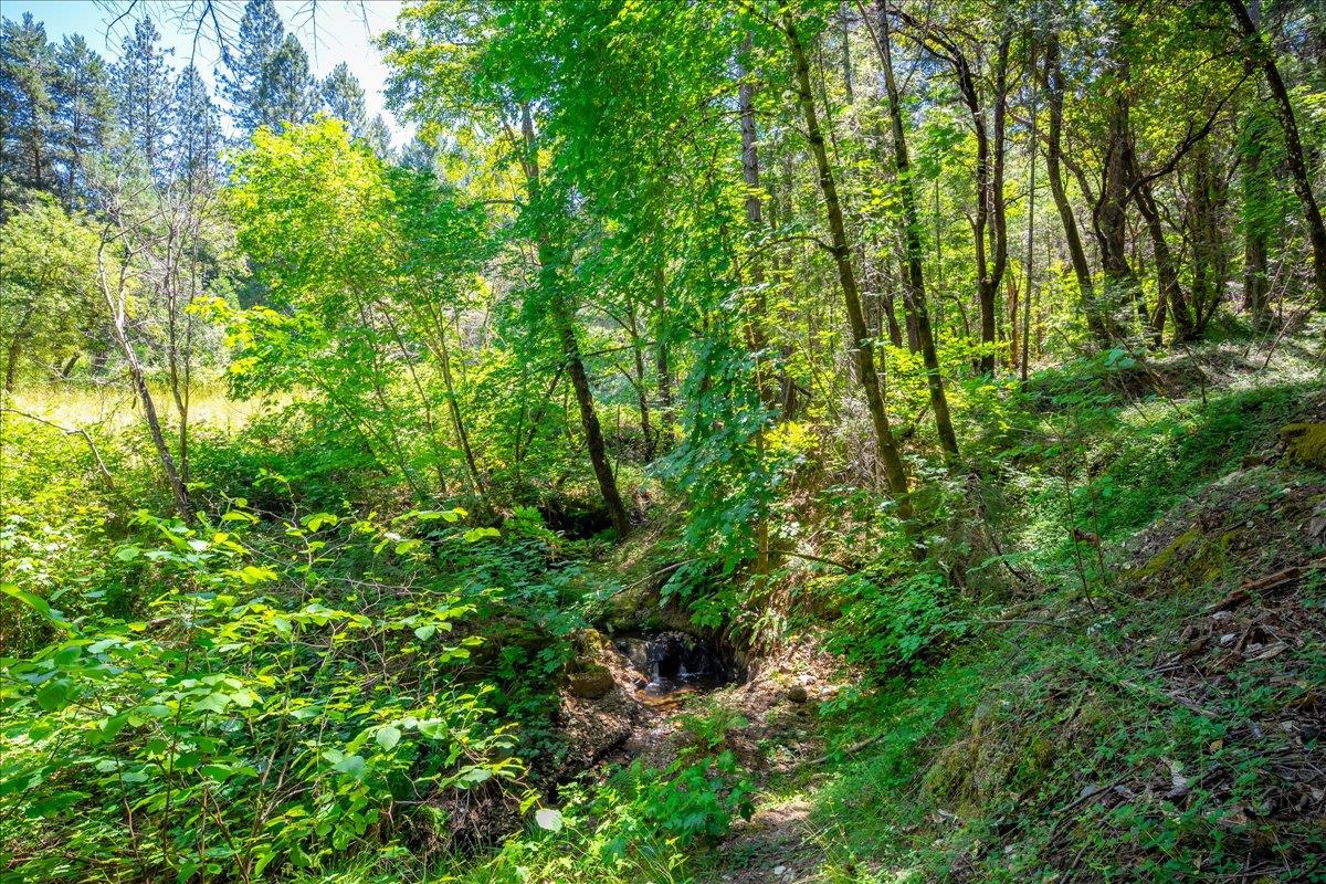 Detail Gallery Image 56 of 93 For 3065 Oregon Trail Rd, Georgetown,  CA 95634 - 3 Beds | 2 Baths