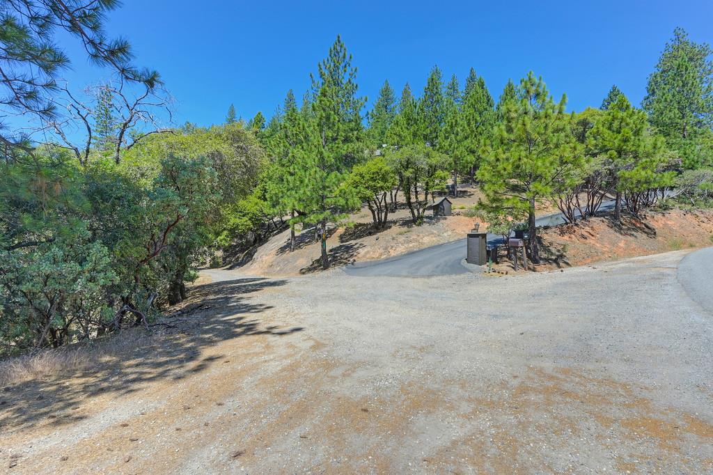 Detail Gallery Image 16 of 98 For 310 Cape Horn Rd, Colfax,  CA 95713 - 4 Beds | 3 Baths