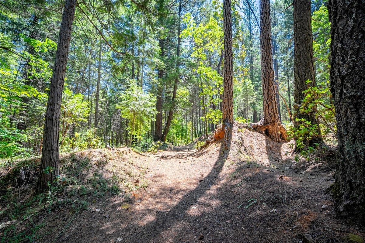 Detail Gallery Image 75 of 93 For 3065 Oregon Trail Rd, Georgetown,  CA 95634 - 3 Beds | 2 Baths