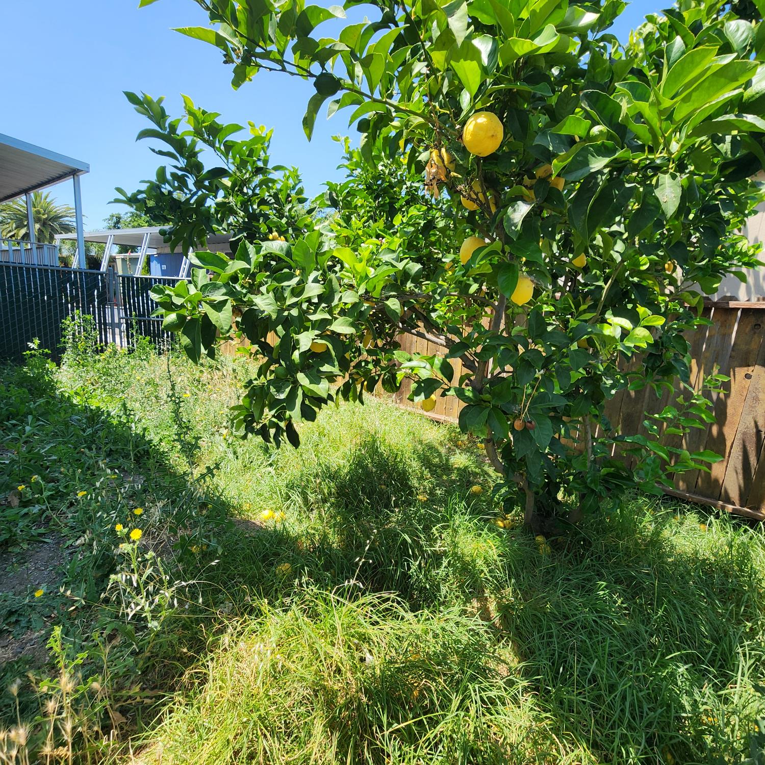 Detail Gallery Image 6 of 18 For 131 Klamath, Pittsburg,  CA 94565 - 3 Beds | 2 Baths