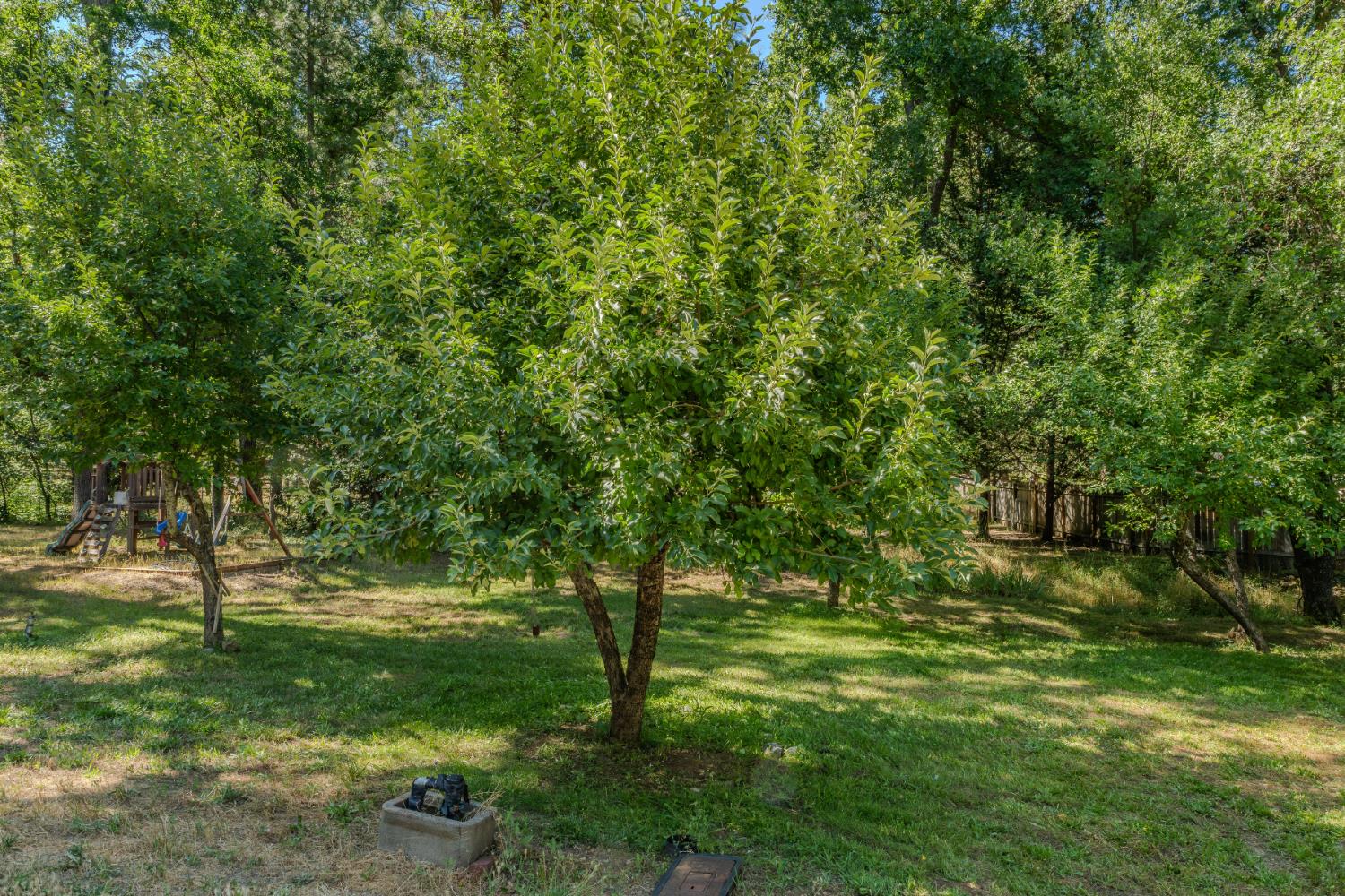 Detail Gallery Image 54 of 63 For 4875 Independence Rd, Mokelumne Hill,  CA 95245 - 3 Beds | 2/1 Baths