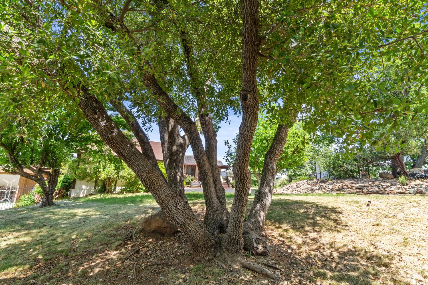 Detail Gallery Image 56 of 75 For 22665 Prospect Hts, Groveland,  CA 95321 - 2 Beds | 2 Baths
