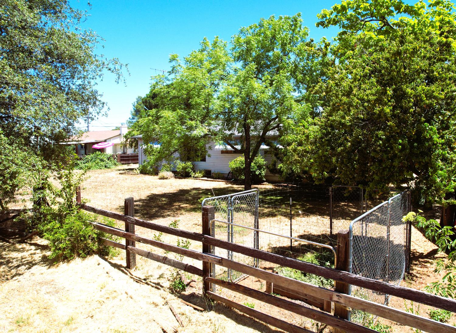 Patricia Lane, Sutter Creek, California image 26