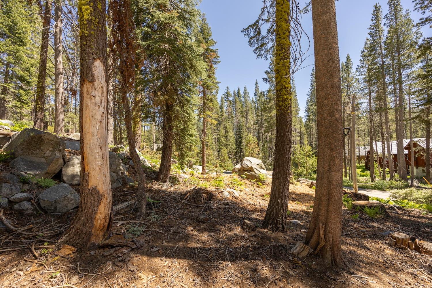 Detail Gallery Image 13 of 14 For 21864 Lotta Crabtree Ter, Soda Springs,  CA 95728 - – Beds | – Baths