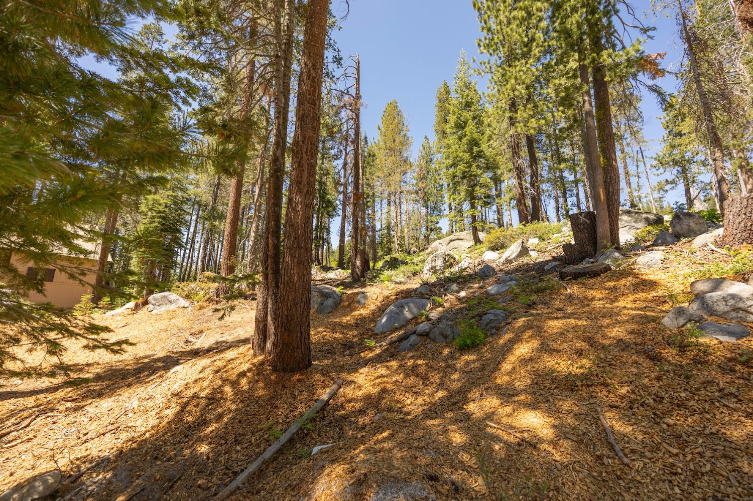 Detail Gallery Image 5 of 14 For 21864 Lotta Crabtree Ter, Soda Springs,  CA 95728 - – Beds | – Baths