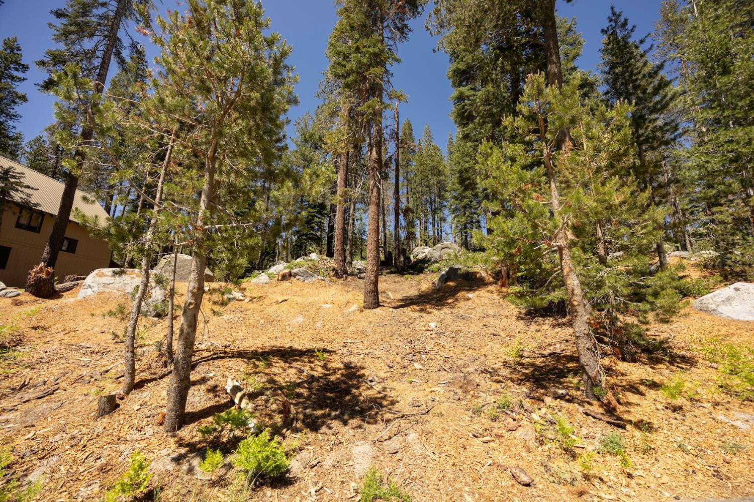 Detail Gallery Image 4 of 14 For 21864 Lotta Crabtree Ter, Soda Springs,  CA 95728 - – Beds | – Baths