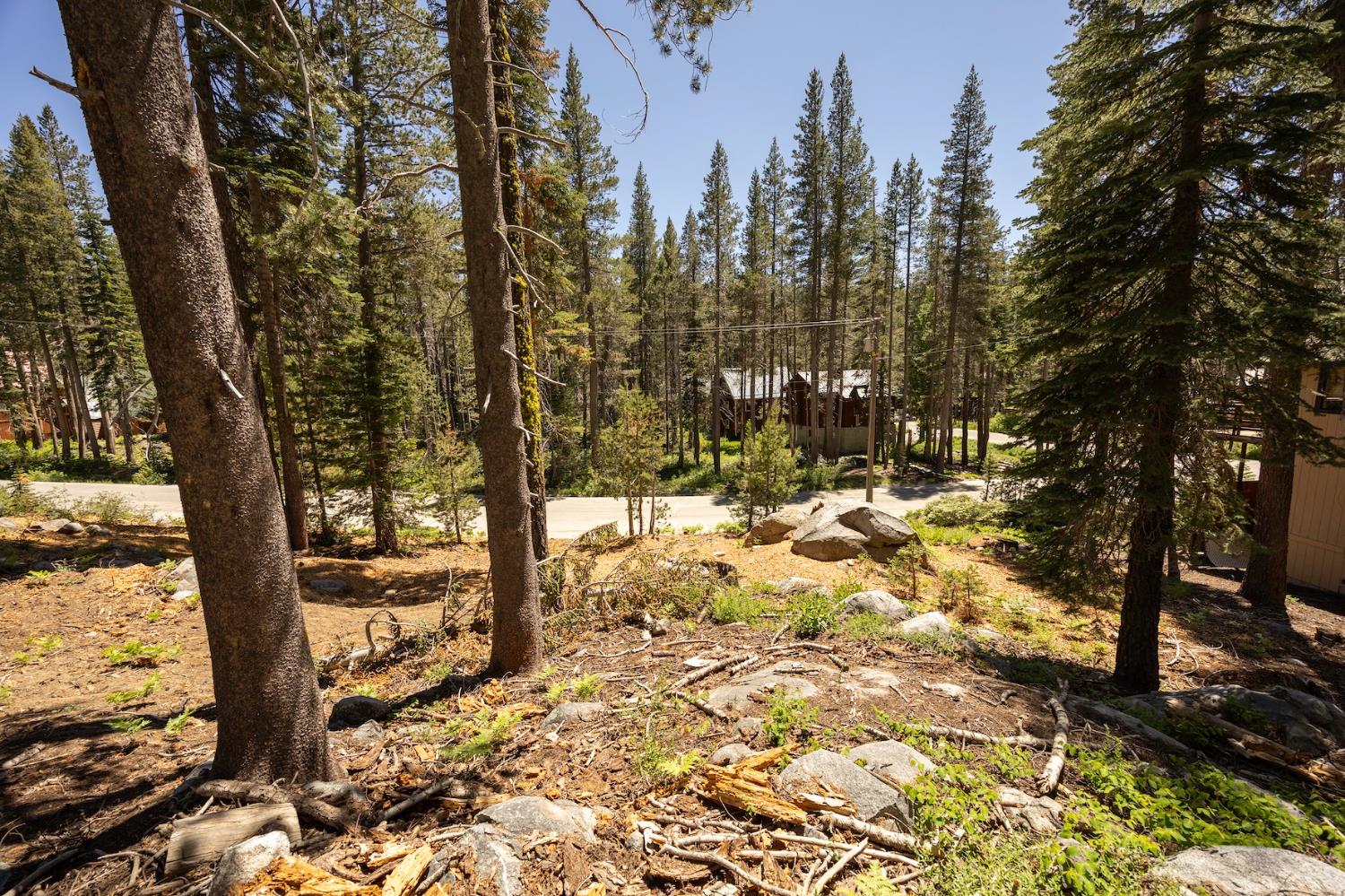 Detail Gallery Image 10 of 14 For 21864 Lotta Crabtree Ter, Soda Springs,  CA 95728 - – Beds | – Baths