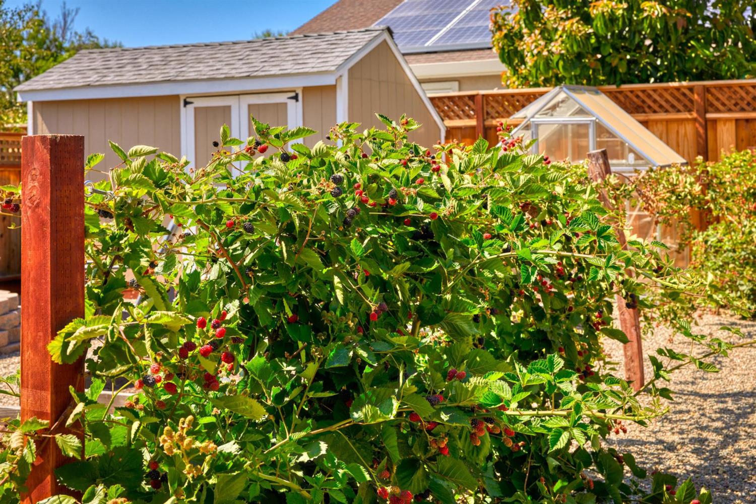 Detail Gallery Image 81 of 93 For 28344 S Lindly Ln, Tracy,  CA 95304 - 6 Beds | 5/2 Baths
