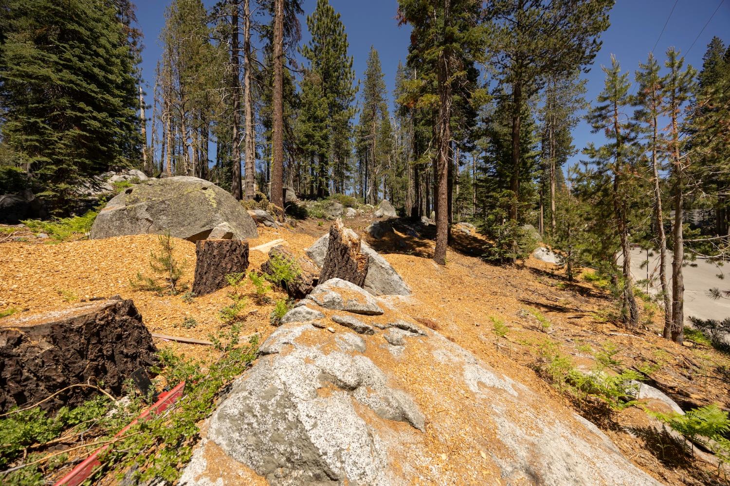 Detail Gallery Image 12 of 14 For 21864 Lotta Crabtree Ter, Soda Springs,  CA 95728 - – Beds | – Baths