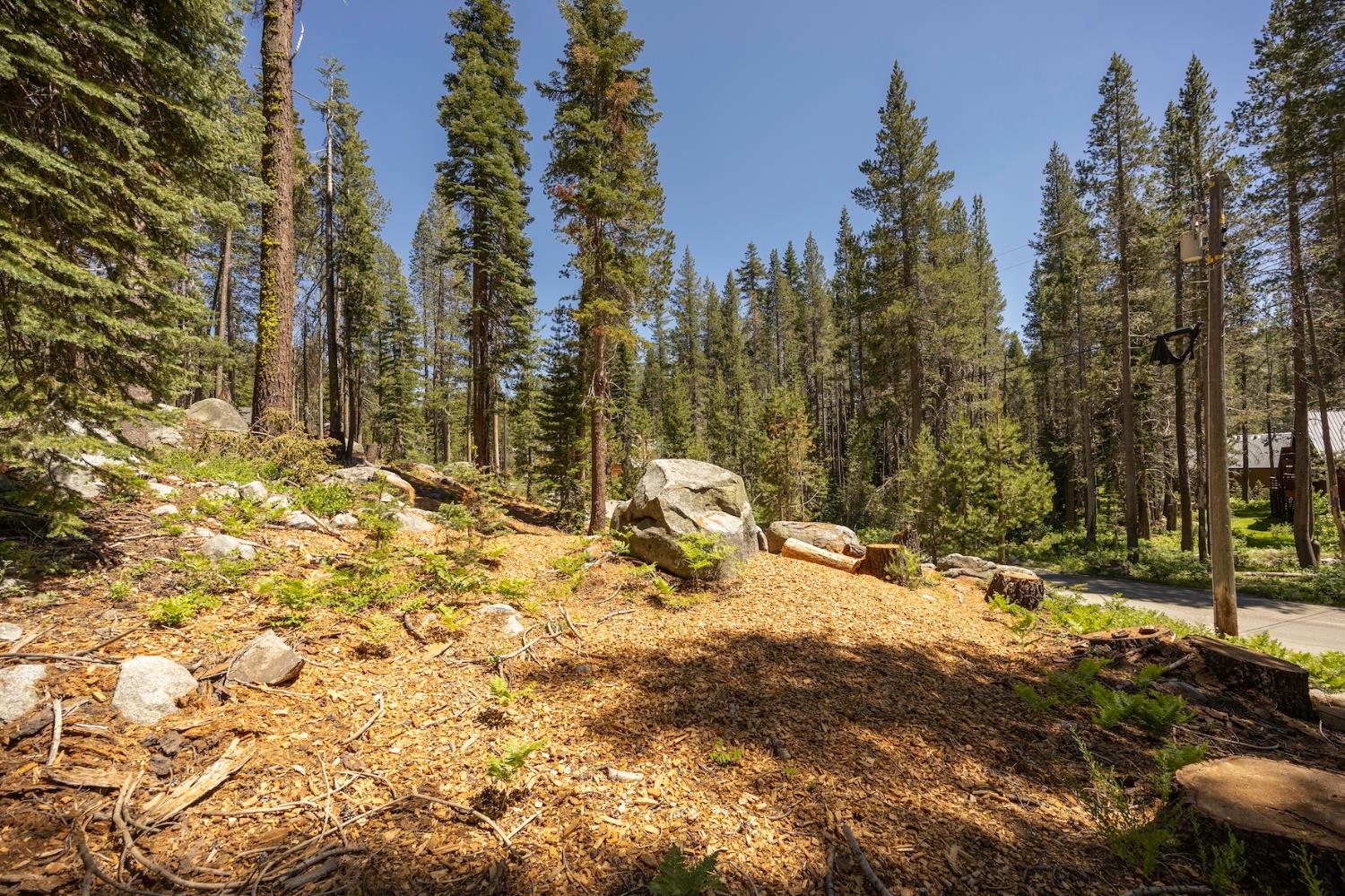 Detail Gallery Image 1 of 14 For 21864 Lotta Crabtree Ter, Soda Springs,  CA 95728 - – Beds | – Baths