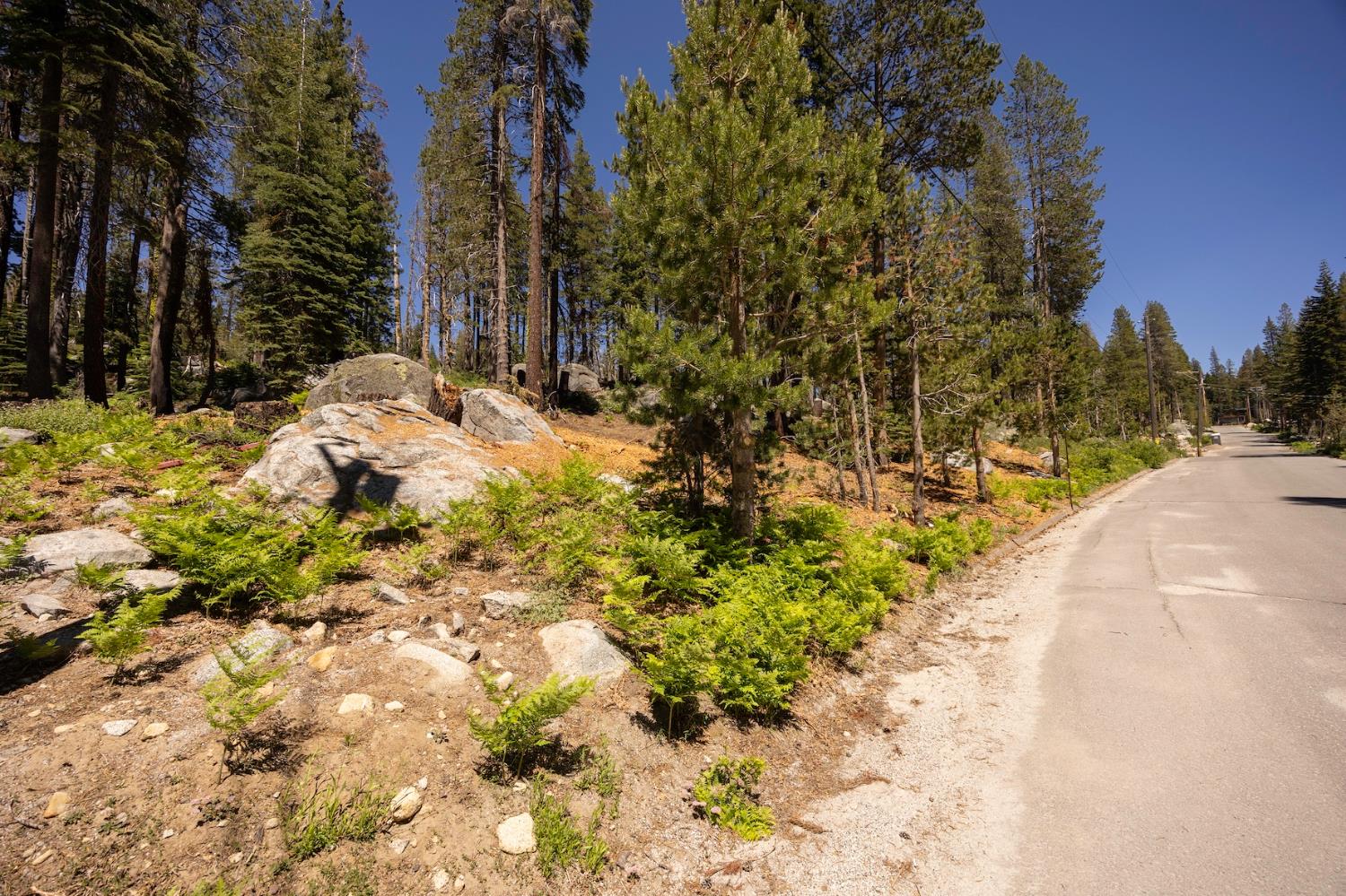 Detail Gallery Image 8 of 14 For 21864 Lotta Crabtree Ter, Soda Springs,  CA 95728 - – Beds | – Baths