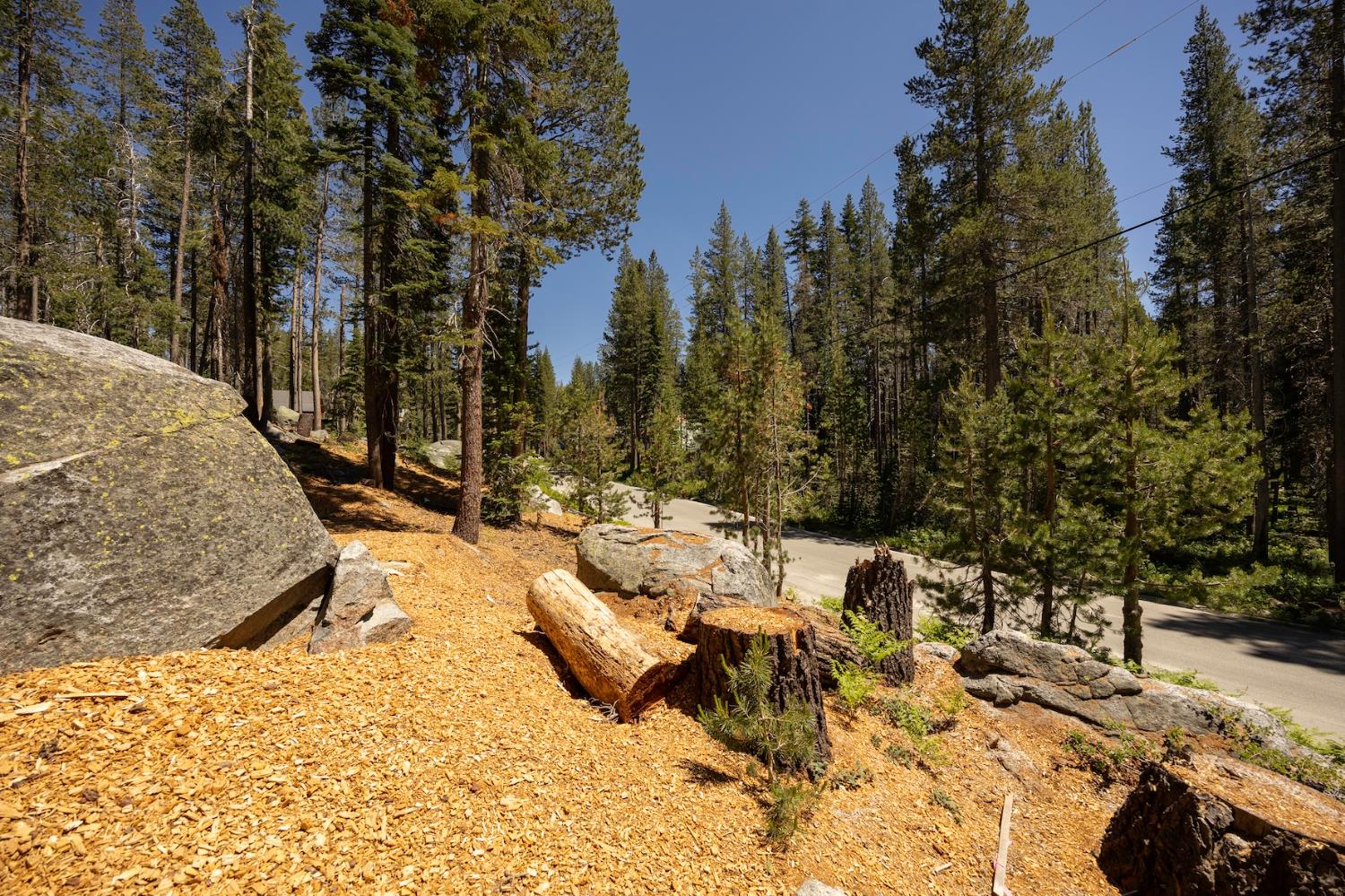 Detail Gallery Image 9 of 14 For 21864 Lotta Crabtree Ter, Soda Springs,  CA 95728 - – Beds | – Baths