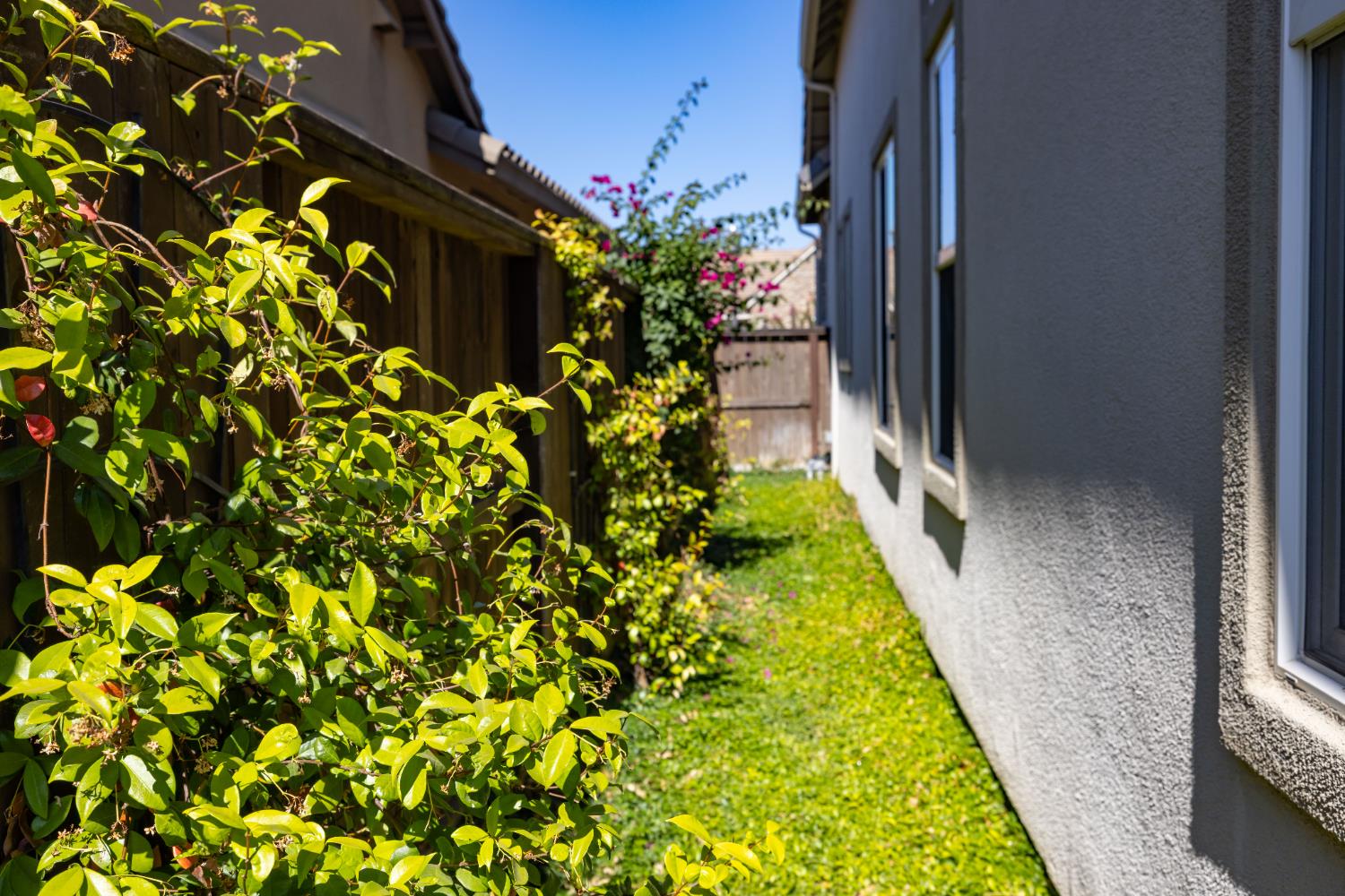 Detail Gallery Image 67 of 79 For 74 Nobel Ave, Lodi,  CA 95242 - 3 Beds | 2/1 Baths