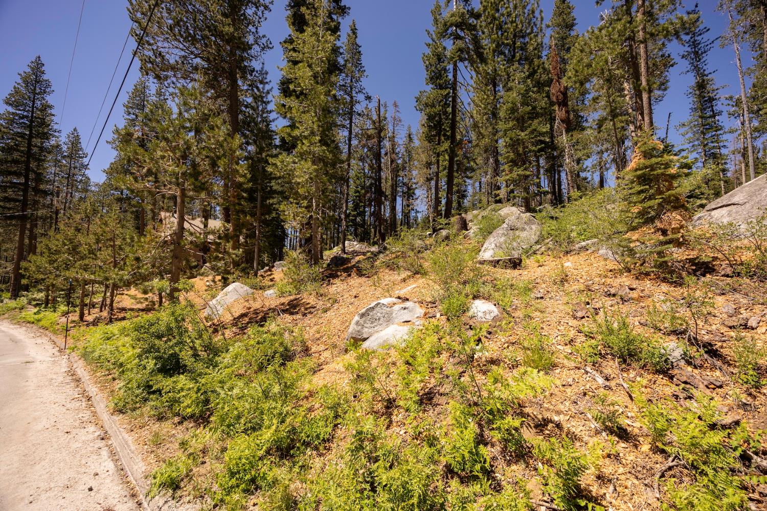Detail Gallery Image 2 of 14 For 21864 Lotta Crabtree Ter, Soda Springs,  CA 95728 - – Beds | – Baths
