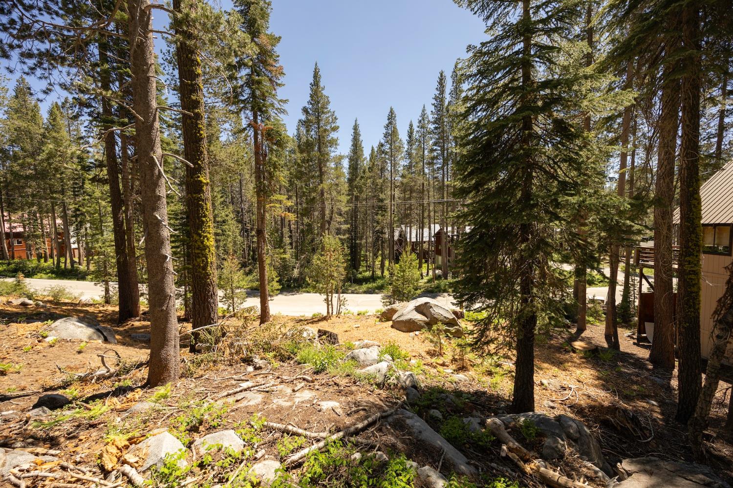 Detail Gallery Image 11 of 14 For 21864 Lotta Crabtree Ter, Soda Springs,  CA 95728 - – Beds | – Baths