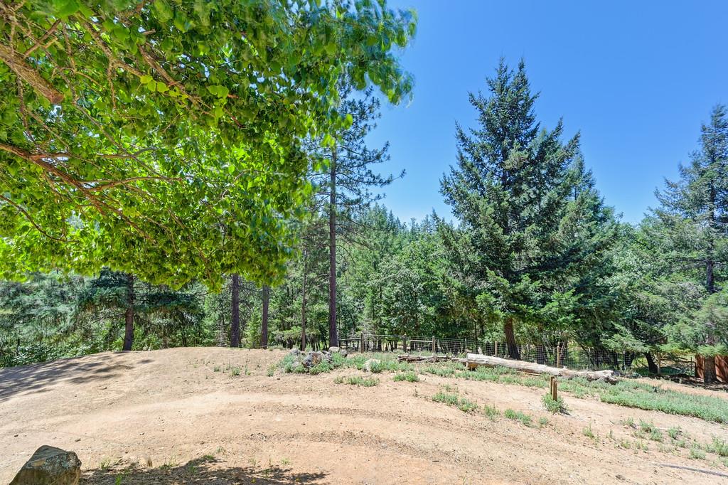 Detail Gallery Image 48 of 60 For 26375 Barb Wire Ln, Colfax,  CA 95713 - 3 Beds | 3 Baths