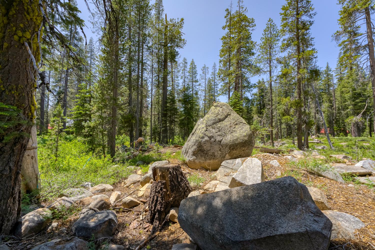 Detail Gallery Image 31 of 38 For 51515 Red Fir Dr, Soda Springs,  CA 95728 - – Beds | – Baths