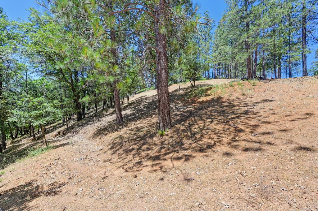 Detail Gallery Image 52 of 60 For 26375 Barb Wire Ln, Colfax,  CA 95713 - 3 Beds | 3 Baths