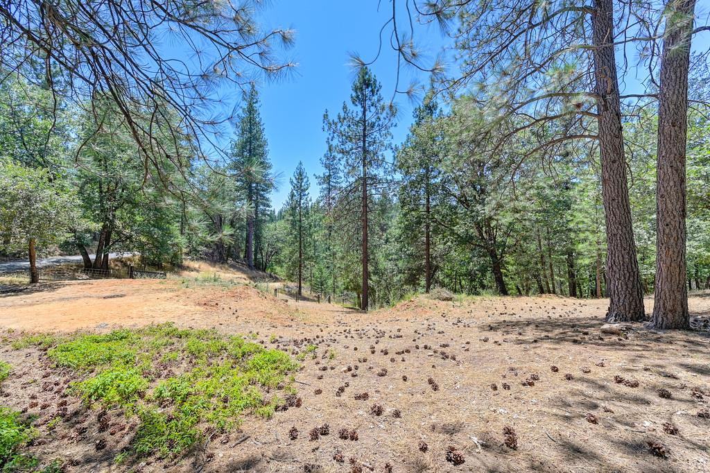 Detail Gallery Image 49 of 60 For 26375 Barb Wire Ln, Colfax,  CA 95713 - 3 Beds | 3 Baths