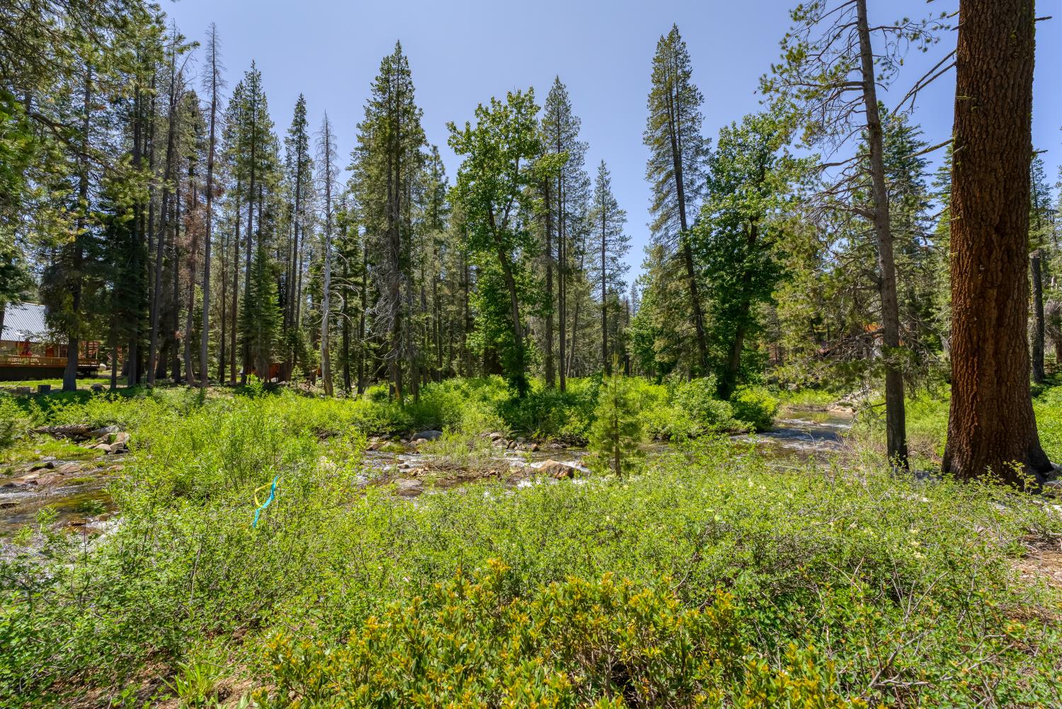 Detail Gallery Image 37 of 38 For 51515 Red Fir Dr, Soda Springs,  CA 95728 - – Beds | – Baths
