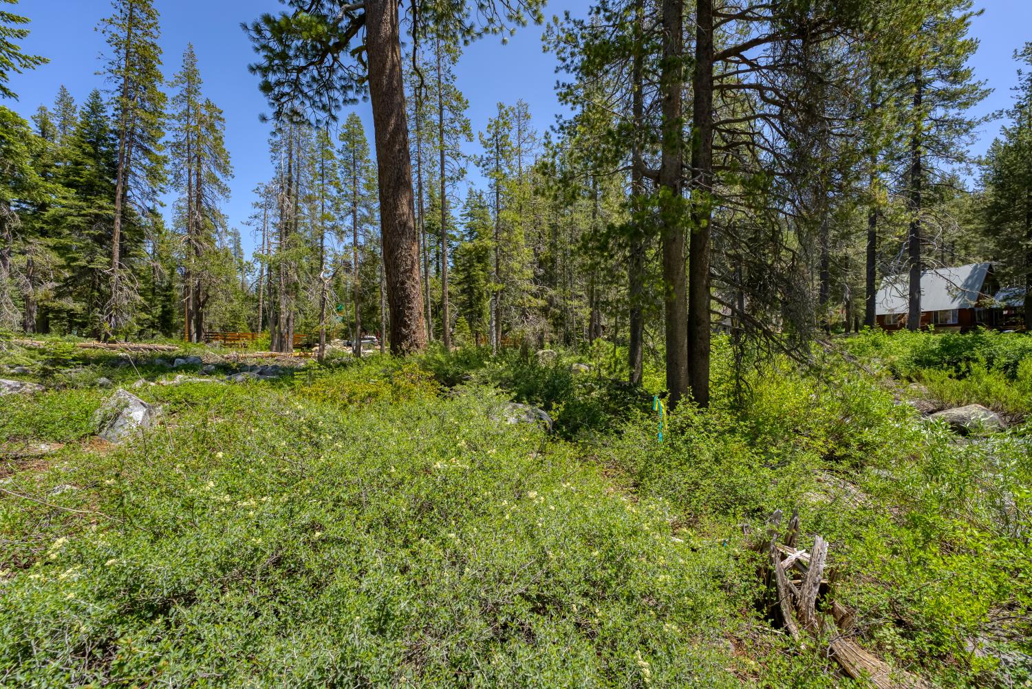 Detail Gallery Image 38 of 38 For 51515 Red Fir Dr, Soda Springs,  CA 95728 - – Beds | – Baths