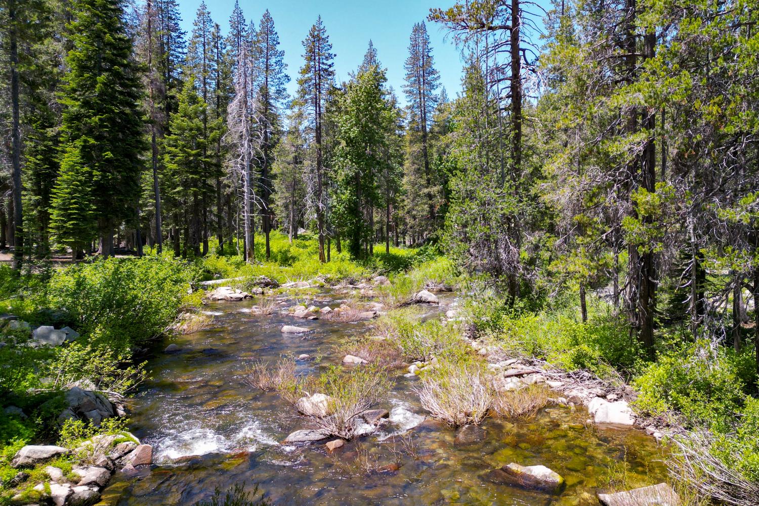 Detail Gallery Image 2 of 38 For 51515 Red Fir Dr, Soda Springs,  CA 95728 - – Beds | – Baths