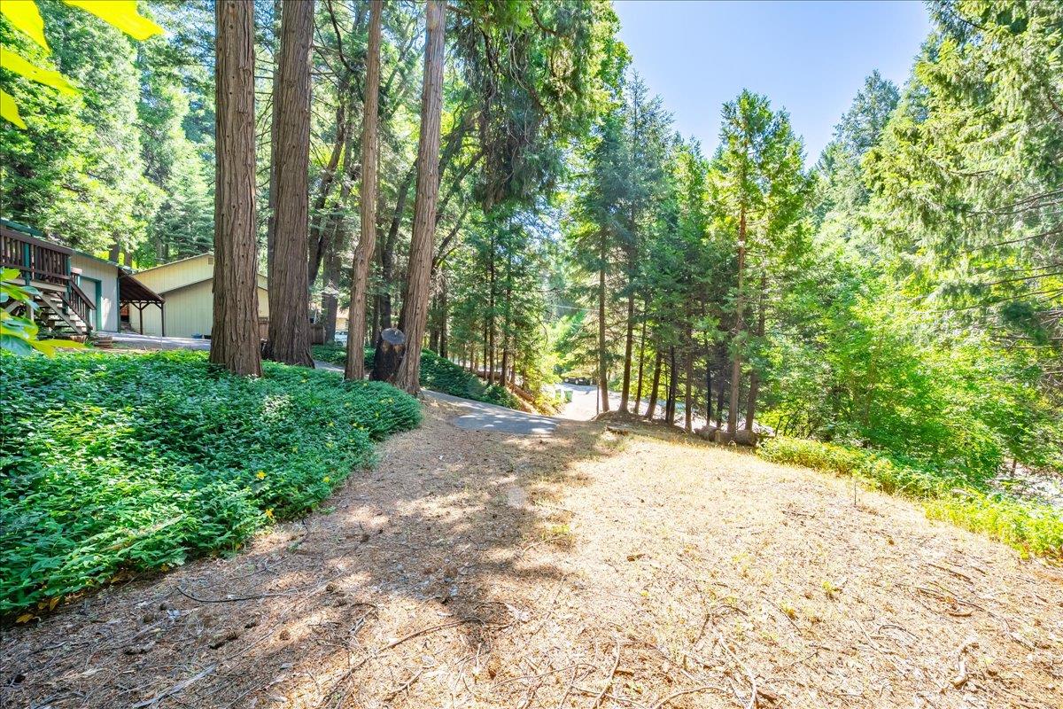 Detail Gallery Image 53 of 55 For 3209 Amber Trl, Pollock Pines,  CA 95726 - 3 Beds | 2 Baths