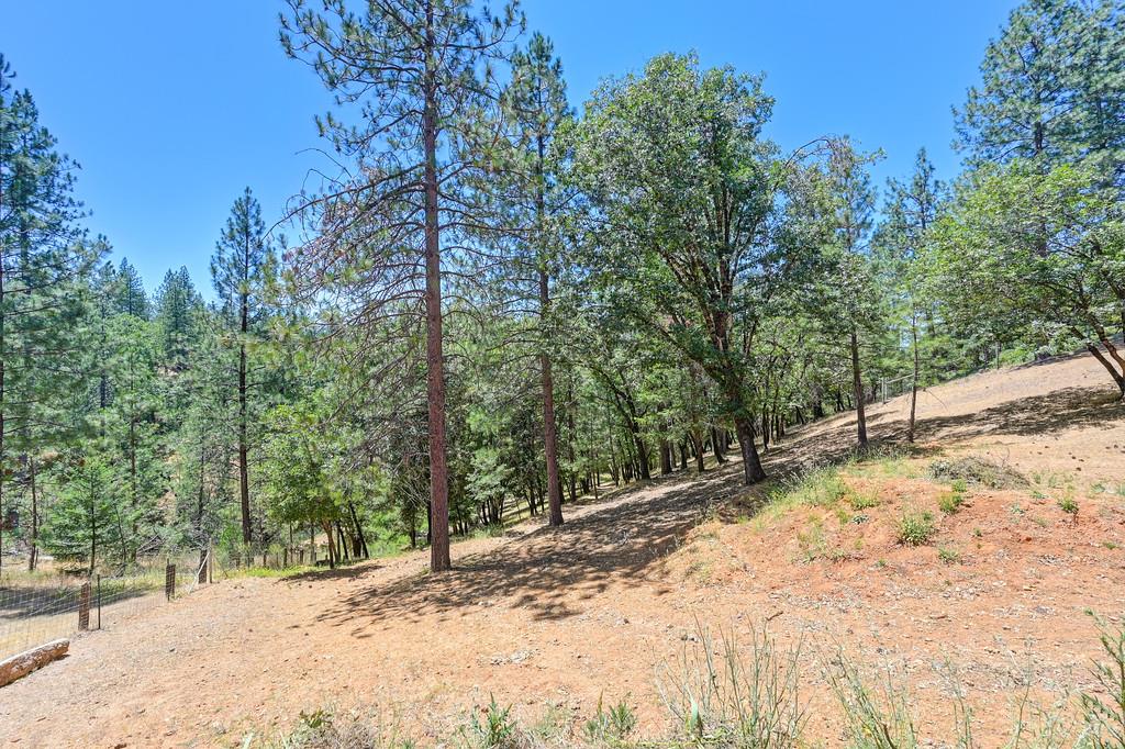 Detail Gallery Image 51 of 60 For 26375 Barb Wire Ln, Colfax,  CA 95713 - 3 Beds | 3 Baths