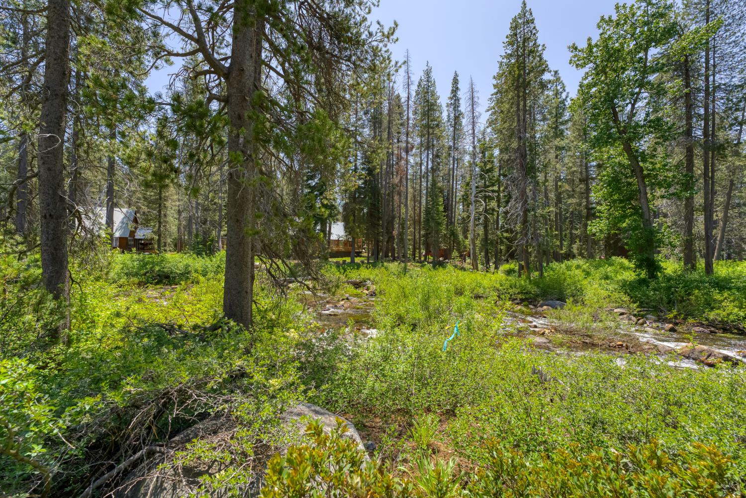Detail Gallery Image 6 of 38 For 51515 Red Fir Dr, Soda Springs,  CA 95728 - – Beds | – Baths