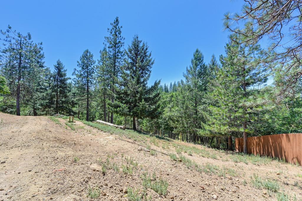 Detail Gallery Image 47 of 60 For 26375 Barb Wire Ln, Colfax,  CA 95713 - 3 Beds | 3 Baths
