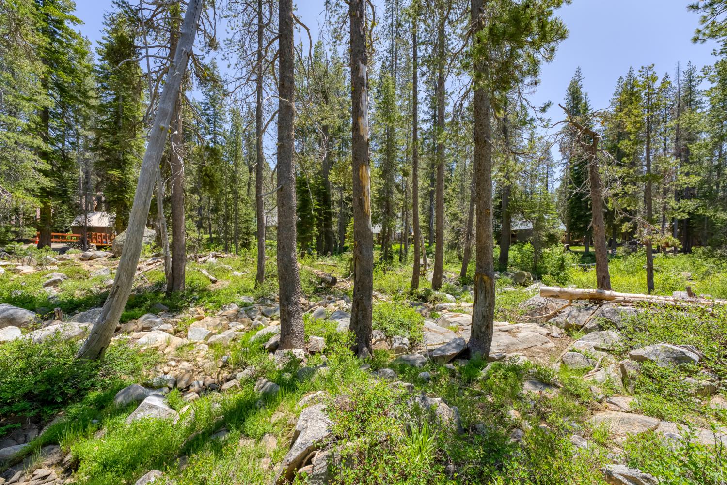 Detail Gallery Image 34 of 38 For 51515 Red Fir Dr, Soda Springs,  CA 95728 - – Beds | – Baths
