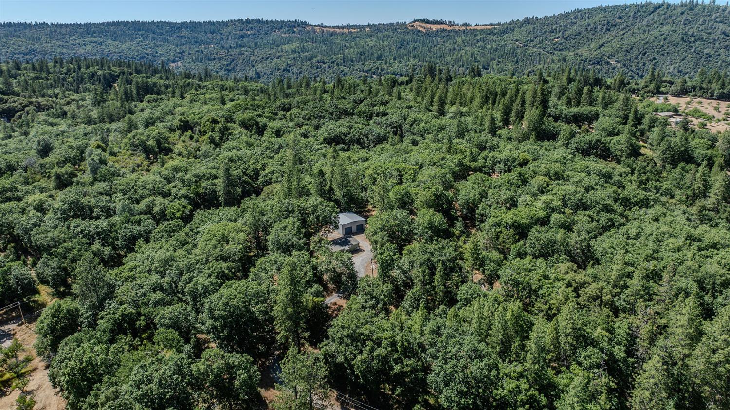 Detail Gallery Image 54 of 54 For 400 Centennial Mine Rd, West Point,  CA 95255 - 3 Beds | 2 Baths