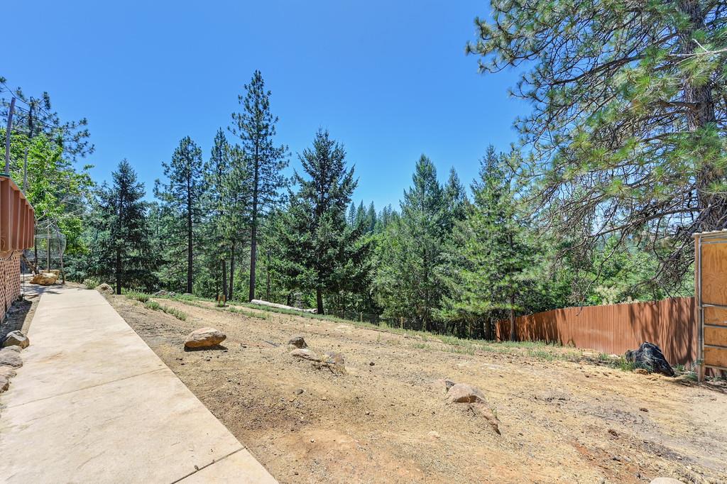 Detail Gallery Image 45 of 60 For 26375 Barb Wire Ln, Colfax,  CA 95713 - 3 Beds | 3 Baths