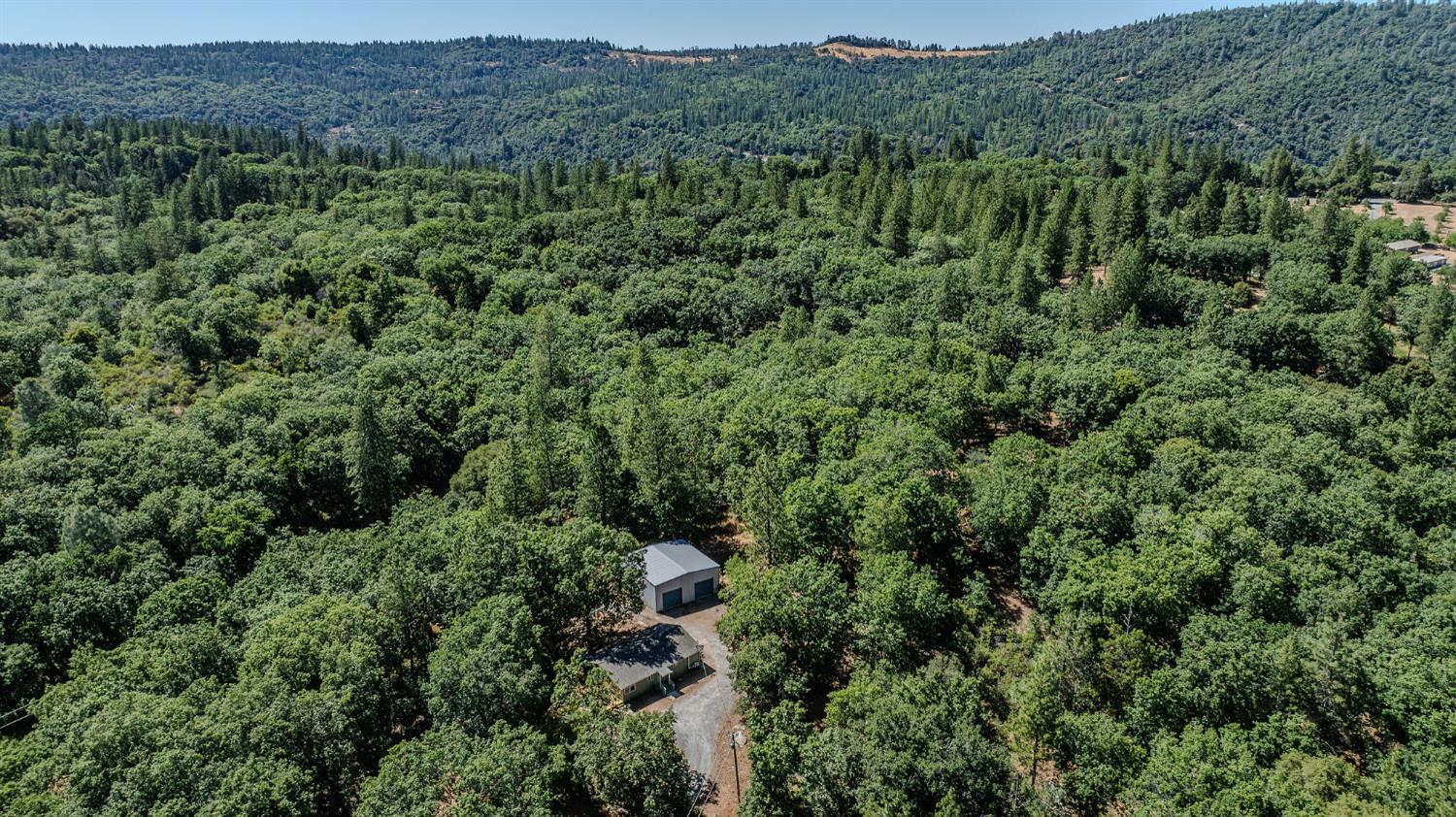 Detail Gallery Image 53 of 54 For 400 Centennial Mine Rd, West Point,  CA 95255 - 3 Beds | 2 Baths