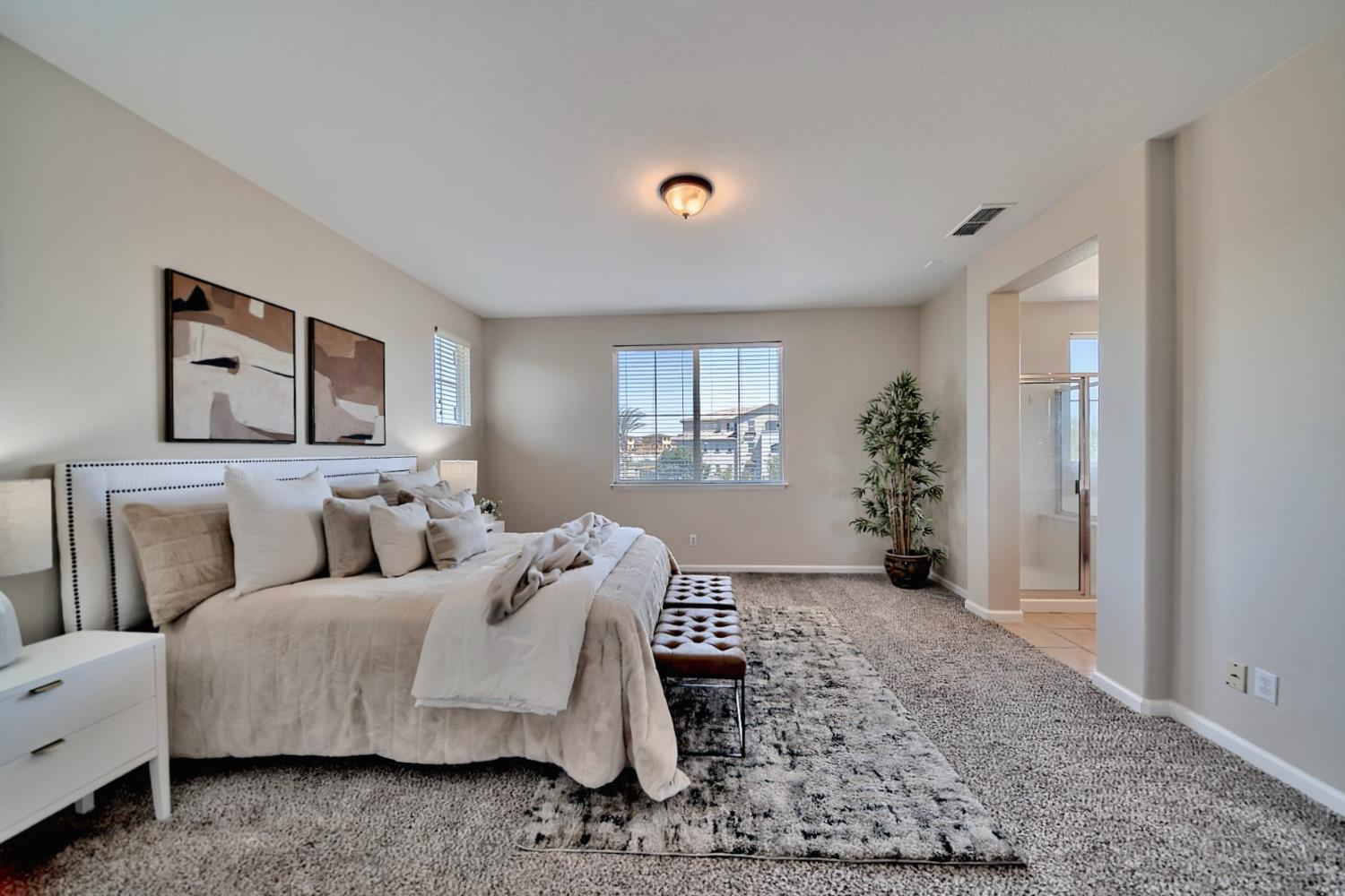Detail Gallery Image 63 of 81 For 409 Bethell Ave, Mountain House,  CA 95391 - 4 Beds | 2/1 Baths