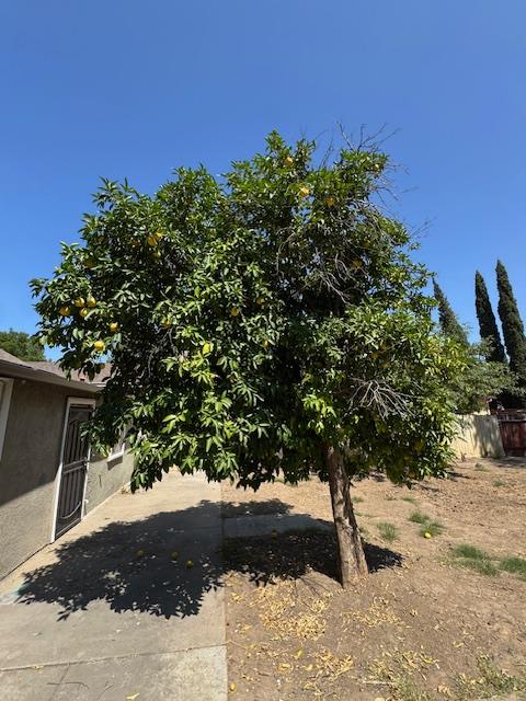 Detail Gallery Image 23 of 32 For 608 Morey Ave, Sacramento,  CA 95838 - 2 Beds | 1 Baths