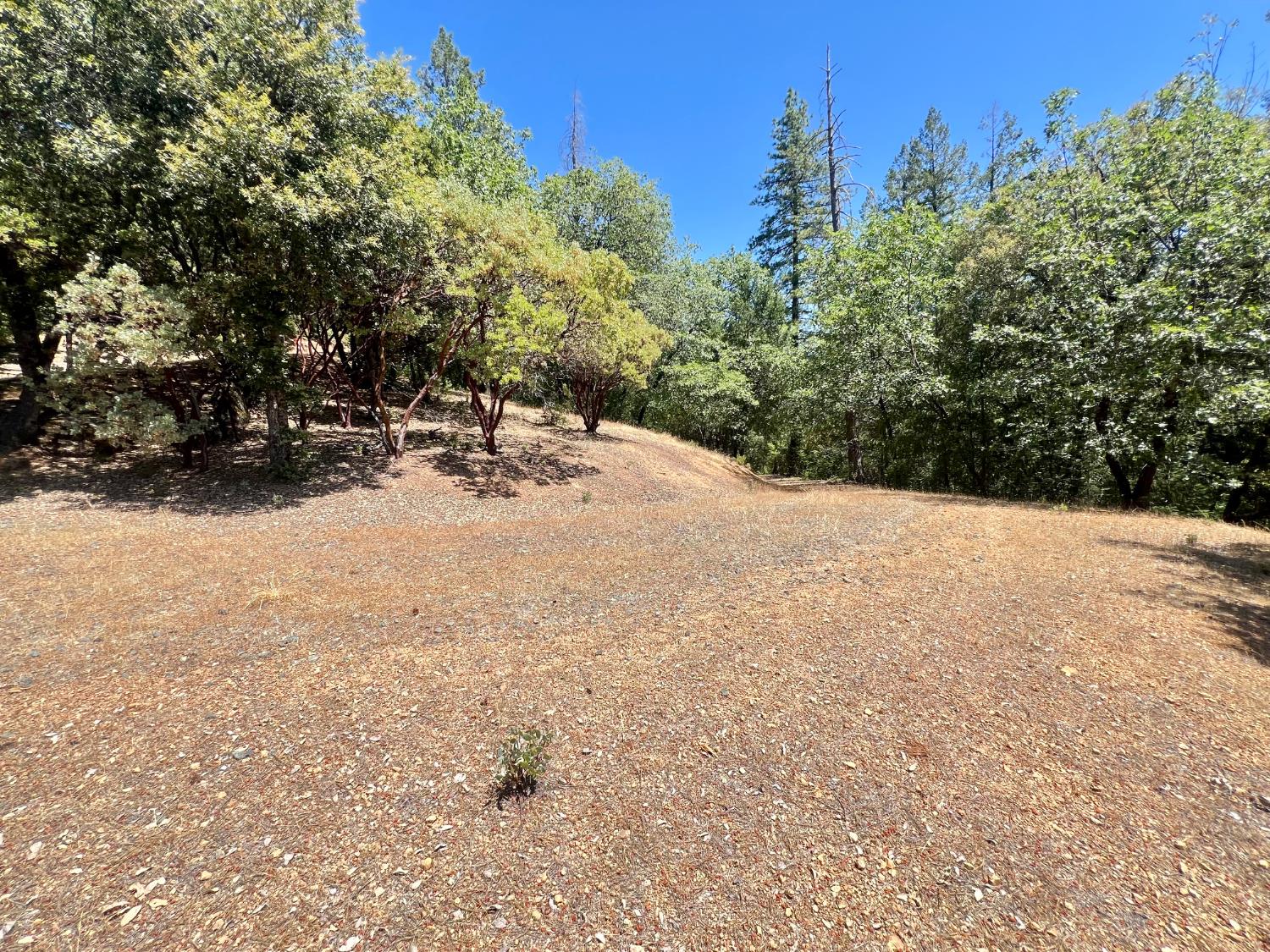 Detail Gallery Image 14 of 17 For 0 Live Oak Rd, Colfax,  CA 95713 - – Beds | – Baths