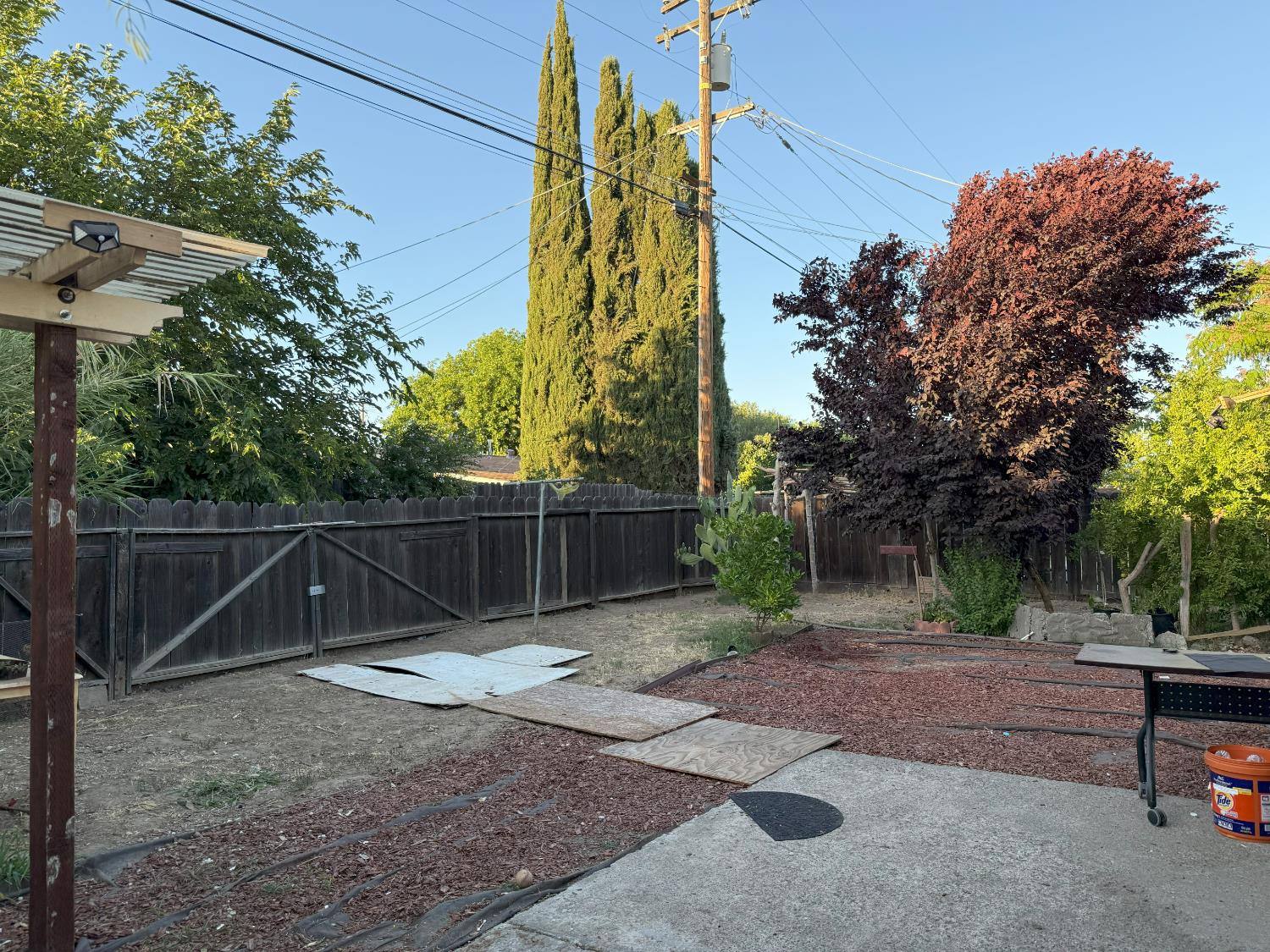 Tonilane, Modesto, California image 21