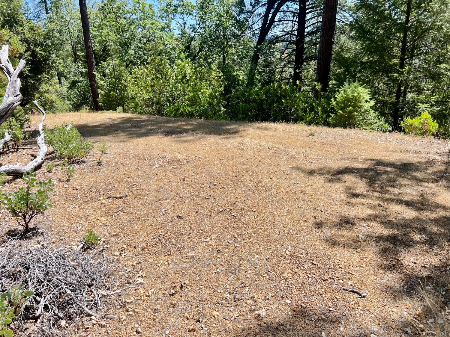 Detail Gallery Image 3 of 17 For 0 Live Oak Rd, Colfax,  CA 95713 - – Beds | – Baths