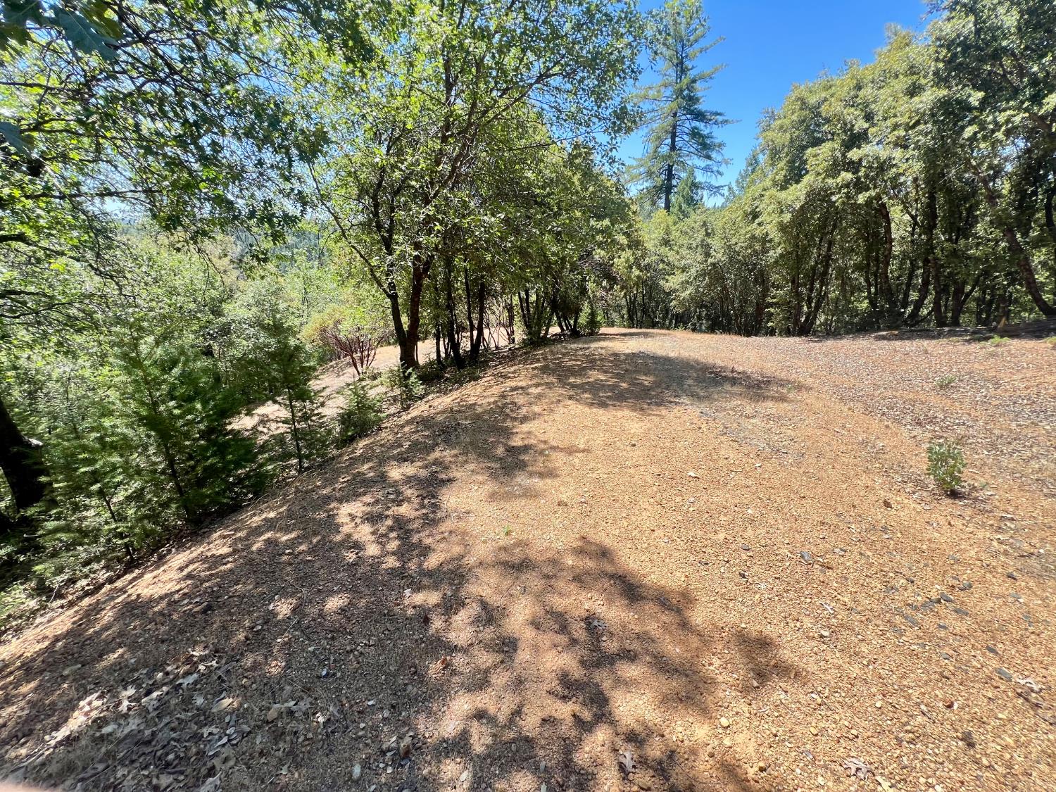 Detail Gallery Image 16 of 17 For 0 Live Oak Rd, Colfax,  CA 95713 - – Beds | – Baths