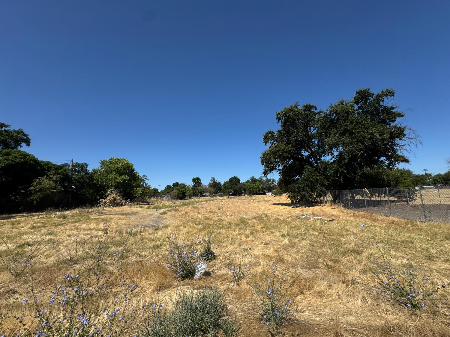 Rio Linda Boulevard, Sacramento, California image 2