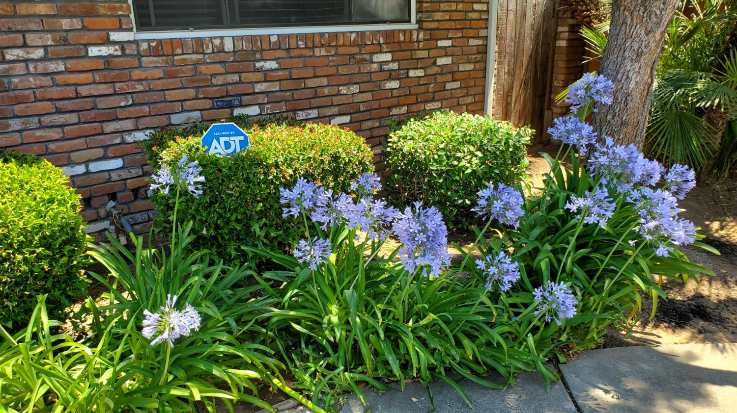Detail Gallery Image 39 of 42 For 3444 Concetta Way, Sacramento,  CA 95821 - 3 Beds | 2/1 Baths