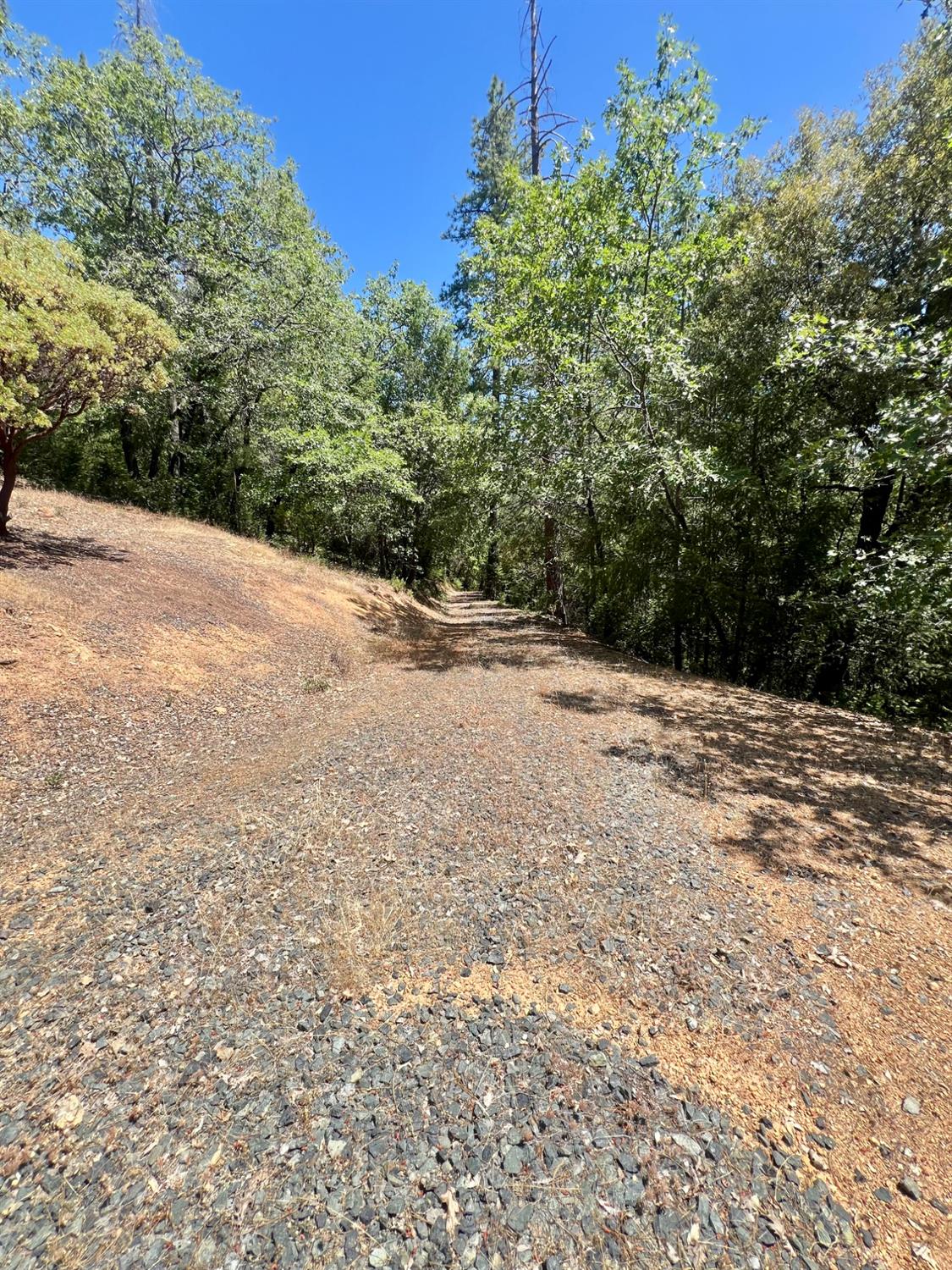 Detail Gallery Image 12 of 17 For 0 Live Oak Rd, Colfax,  CA 95713 - – Beds | – Baths